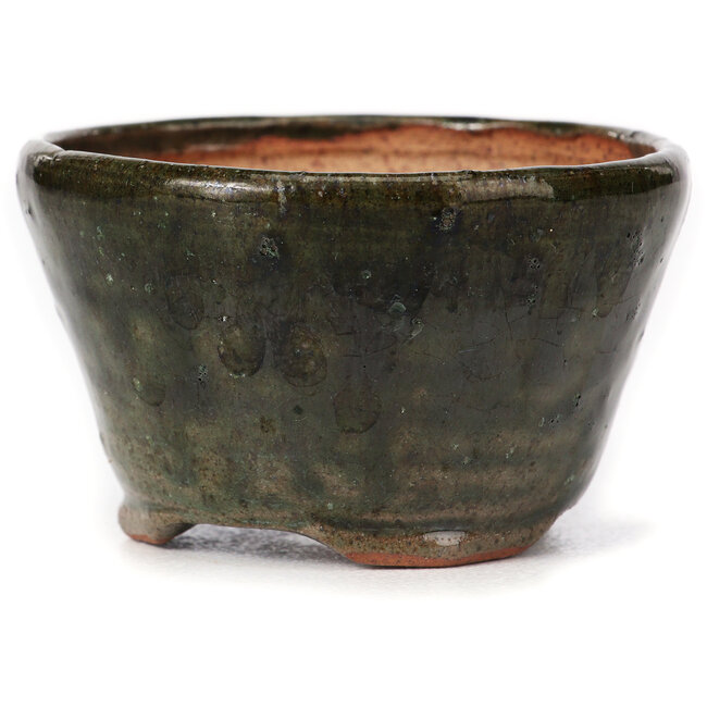 Maceta de bonsái verde redonda de Bonsai - 73 x 72 x 44 mm