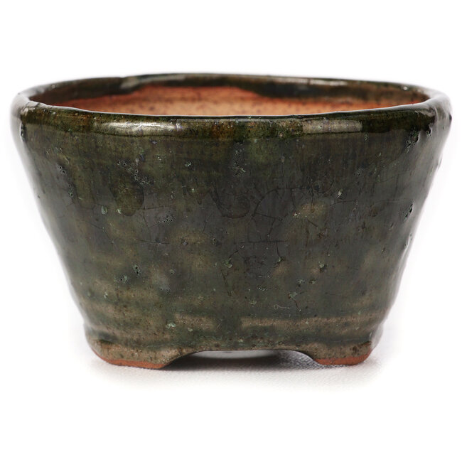 Ronde groene bonsai pot van Bonsai - 73 x 72 x 44 mm