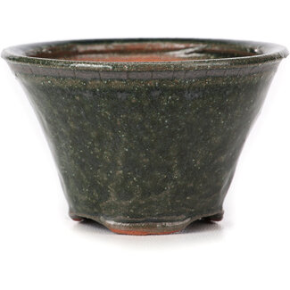 Bonsai Pot à bonsaï vert rond de 77 mm par Bonsai, Japon