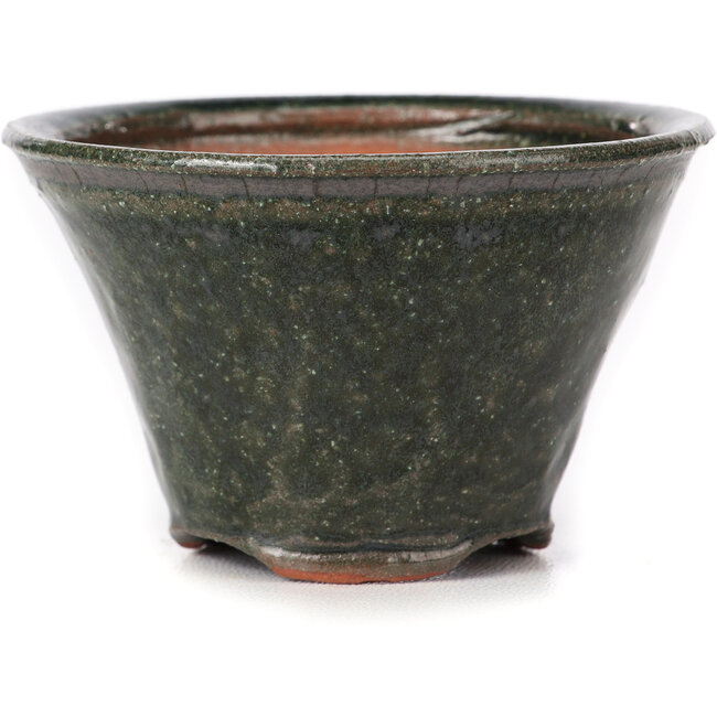 Ronde groene bonsai pot van Bonsai - 77 x 77 x 50 mm