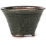 Round green bonsai pot by Bonsai - 77 x 77 x 50 mm