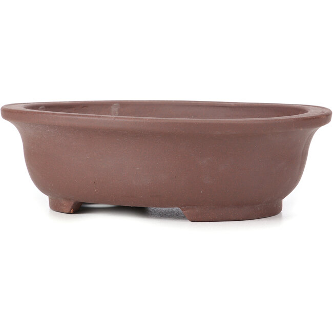 Vaso bonsai ovale non smaltato - 287 x 232 x 85 mm