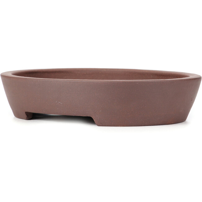 Vaso bonsai ovale non smaltato - 291 x 232 x 58 mm