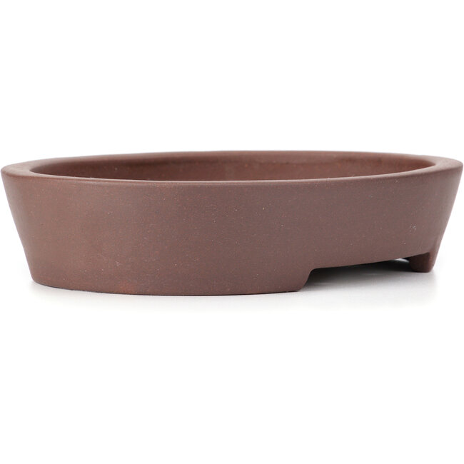 Oval unglazed bonsai pot - 291 x 232 x 58 mm