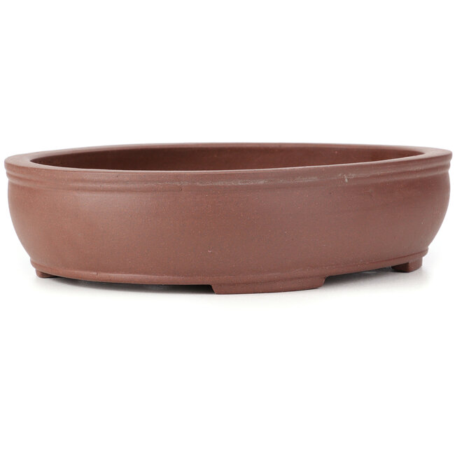 Vaso bonsai ovale non smaltato - 356 x 283 x 80 mm