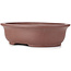 Oval unglazed bonsai pot - 363 x 300 x 102 mm