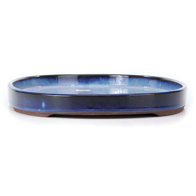 Oval blue bonsai pot by Seto Yaki - 439 x 280 x 35 mm
