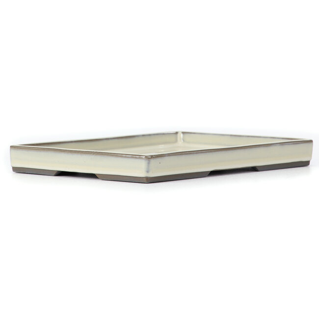 Maceta de bonsái rectangular blanco roto de Seto Yaki - 255 x 176 x 27 mm