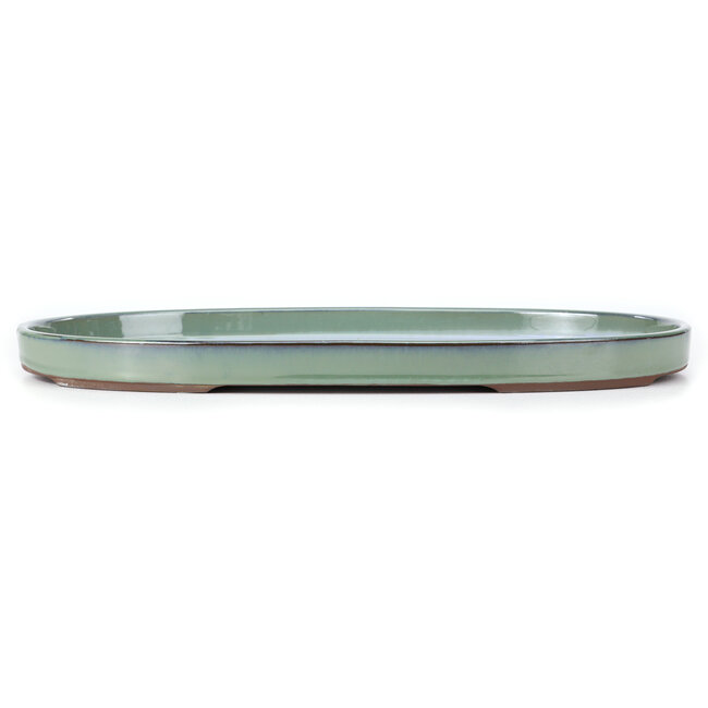 Ovale groene bonsaipot van Seto Yaki - 474 x 312 x 37 mm