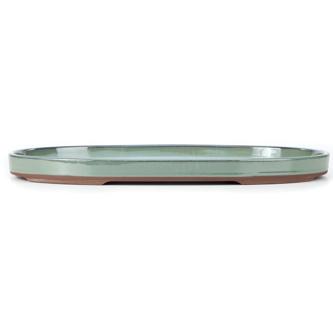 Oval green bonsai pot by Seto Yaki - 474 x 312 x 37 mm