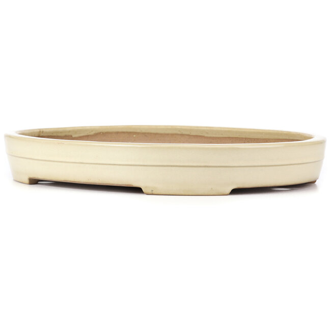 Oval beige bonsai pot by Yamafusa - 410 x 315 x 55 mm