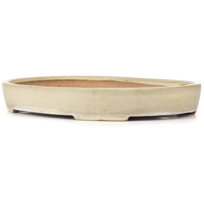 Oval beige bonsai pot by Yamafusa - 405 x 310 x 55 mm
