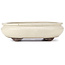 Oval beige bonsai pot by Yamaaki - 340 x 280 x 100 mm