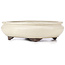 Pot à bonsaï ovale beige par Yamaaki - 340 x 280 x 100 mm