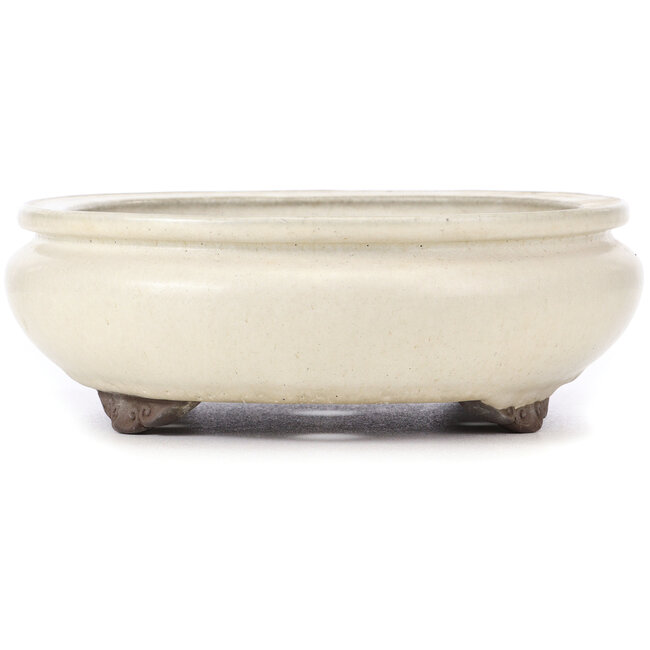 Vaso bonsai ovale beige di Yamaaki - 340 x 280 x 100 mm