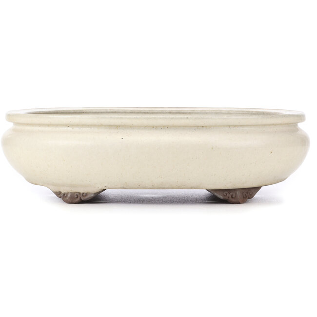 Pot à bonsaï ovale beige par Yamaaki - 340 x 280 x 100 mm