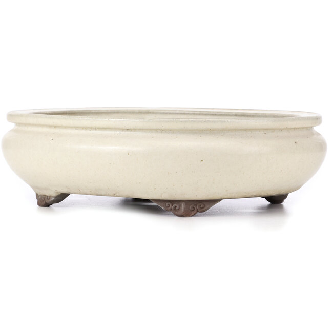 Pot à bonsaï ovale beige par Yamaaki - 340 x 280 x 100 mm