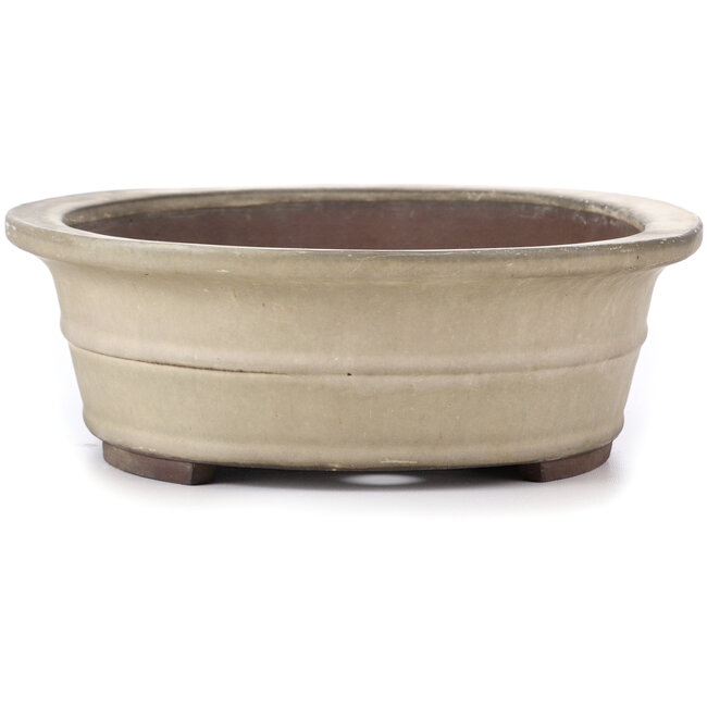 Maceta de bonsái ovalada beige de Yamaaki - 375 x 290 x 100 mm