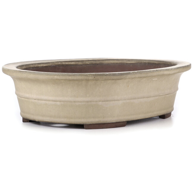 Maceta de bonsái ovalada beige de Yamaaki - 375 x 290 x 100 mm
