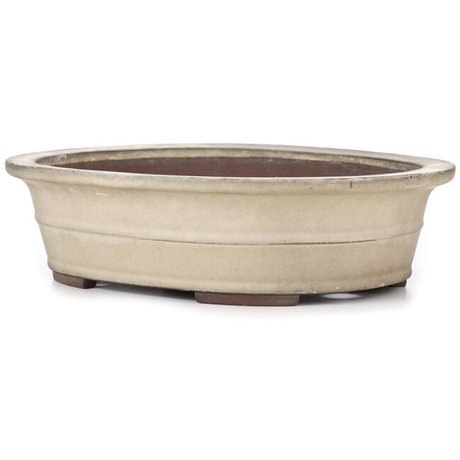 Maceta de bonsái ovalada beige de Yamaaki - 375 x 290 x 100 mm