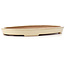 Oval beige bonsai pot by Reiho - 370 x 245 x 35 mm