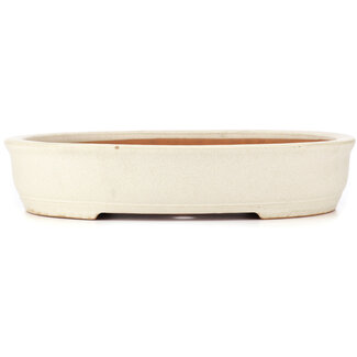 Ito(u)en 410 mm oval beige bonsai pot by Itouen, Japan