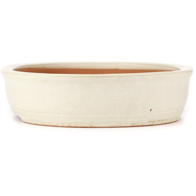 Vaso bonsai ovale beige di Itouen - 410 x 325 x 85 mm