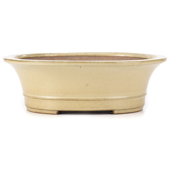 Oval beige bonsai pot by Reiho - 320 x 270 x 105 mm