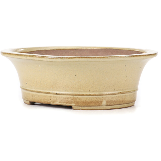 Oval beige bonsai pot by Reiho - 320 x 270 x 105 mm