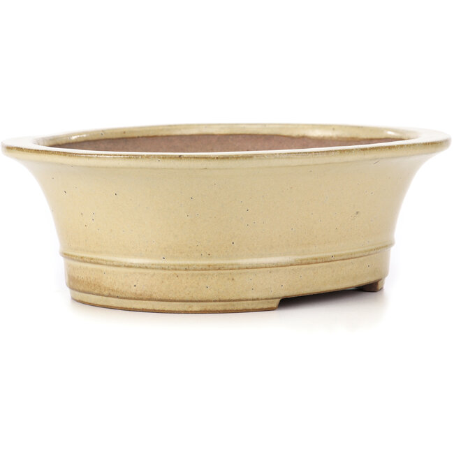 Pot à bonsaï ovale beige par Reiho - 320 x 270 x 105 mm
