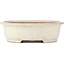 Oval beige bonsai pot by Yamafusa - 345 x 280 x 100 mm