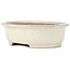 Oval beige bonsai pot by Yamafusa - 345 x 280 x 100 mm