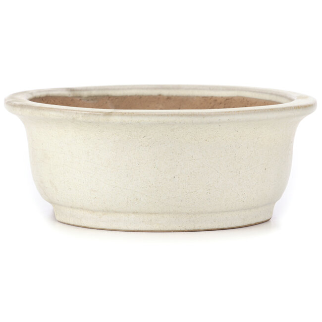 Maceta ovalada beige para bonsái de Yamafusa - 345 x 280 x 100 mm