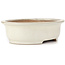 Oval beige bonsai pot by Yamafusa - 345 x 280 x 100 mm