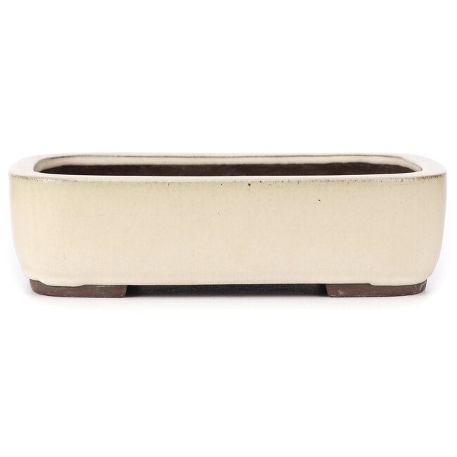 Maceta de bonsái rectangular beige de Yamaaki - 320 x 245 x 85 mm