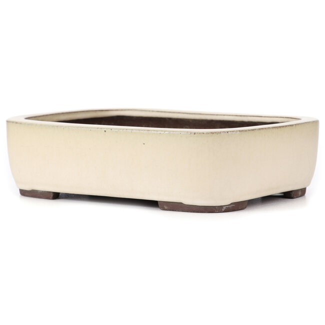 Vaso bonsai rettangolare beige di Yamaaki - 320 x 245 x 85 mm