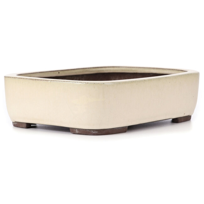 Maceta de bonsái rectangular beige de Yamaaki - 320 x 245 x 85 mm