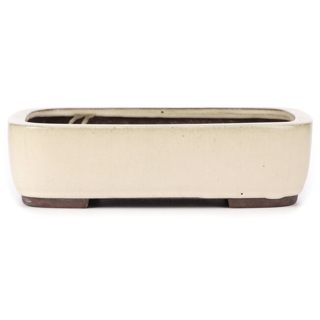 Pot à bonsaï rectangulaire beige par Yamaaki - 320 x 245 x 85 mm