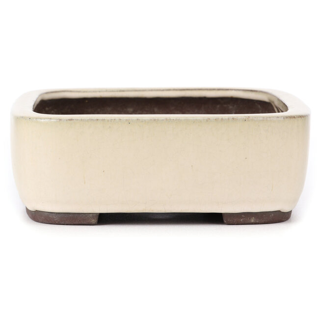 Maceta de bonsái rectangular beige de Yamaaki - 320 x 245 x 85 mm