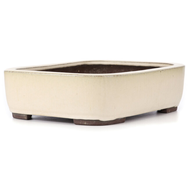 Maceta de bonsái rectangular beige de Yamaaki - 320 x 245 x 85 mm