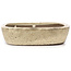 Oval beige bonsai pot by Shuhou - 360 x 270 x 65 mm