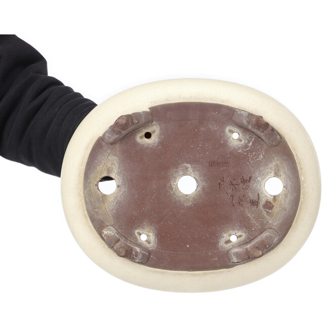 Pot à bonsaï ovale beige par Yamaaki - 340 x 280 x 100 mm