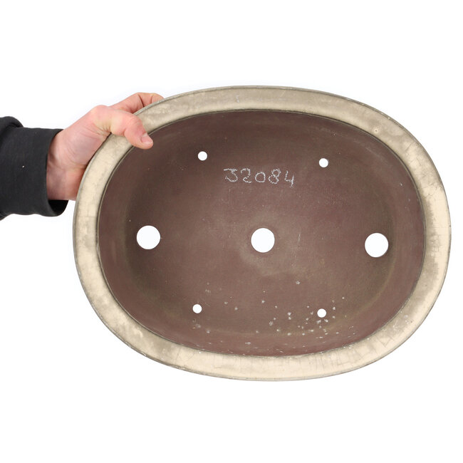 Maceta de bonsái ovalada beige de Yamaaki - 375 x 290 x 100 mm