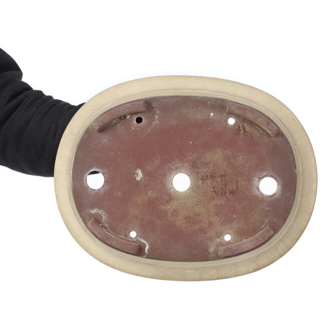 Ovale beige Bonsaischale von Yamaaki - 375 x 290 x 100 mm