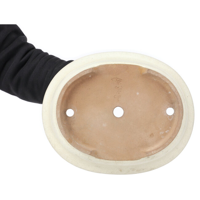 Maceta ovalada beige para bonsái de Yamafusa - 345 x 280 x 100 mm