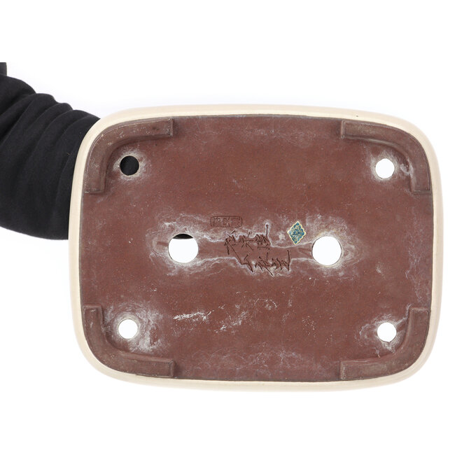 Rechteckige beige Bonsaischale von Yamaaki - 320 x 245 x 85 mm