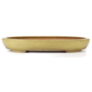 Hattori Tomoyuki 470 mm oval yellow bonsai pot by Hattori, Tokoname, Japan