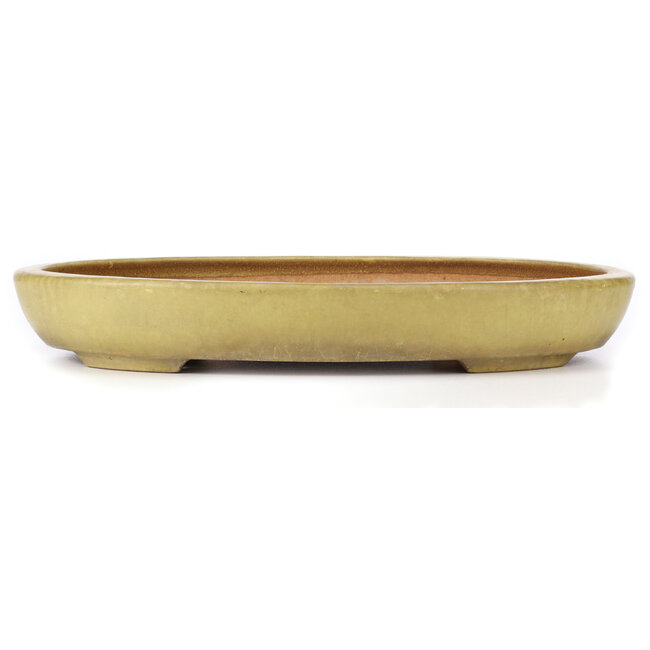 Oval yellow bonsai pot by Hattori - 470 x 355 x 65 mm