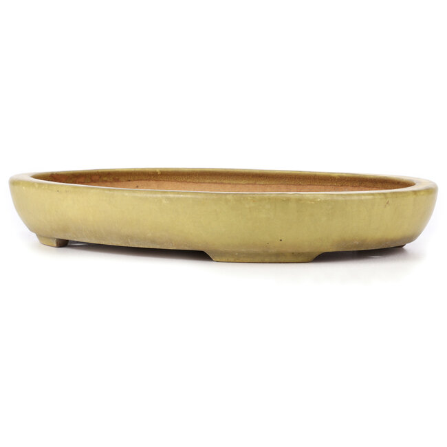 Pot à bonsaï jaune ovale par Hattori - 470 x 355 x 65 mm