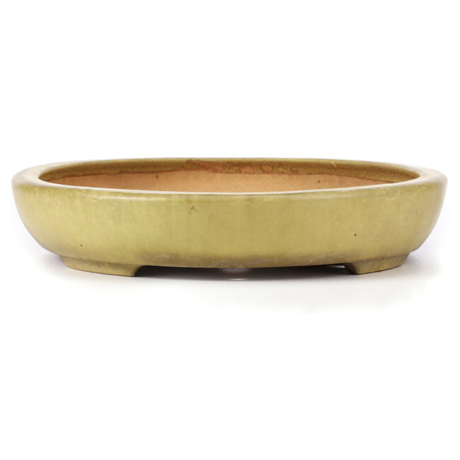 Oval yellow bonsai pot by Hattori - 470 x 355 x 65 mm